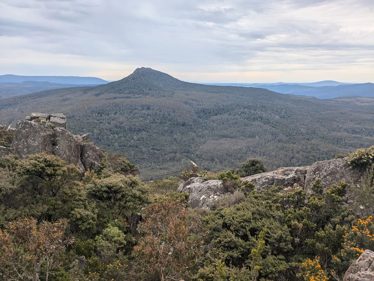 Paysages de montagne et forêt